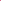 American Bruiser Women's Crop Jacket - Pink